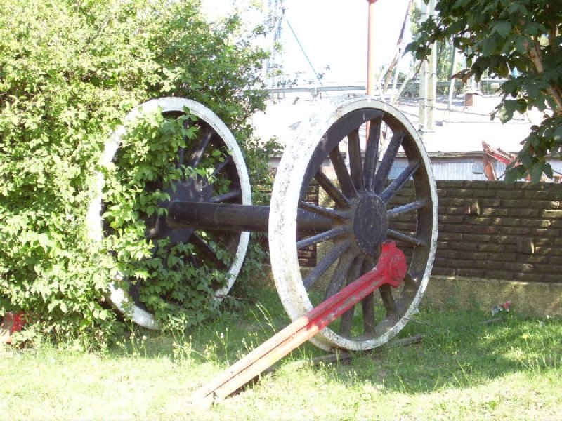 Photograph